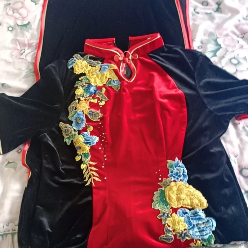 Frauen Vietnam Ao Dai Cheongsa – Ao Dai Vietnam Dress Bewertung und Preis